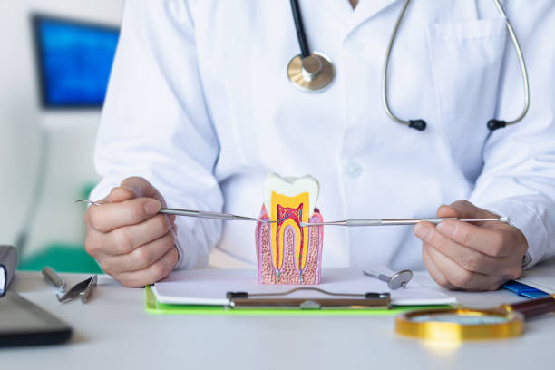 Best Emergency Root Canal Therapy in South Wenatchee, WA
